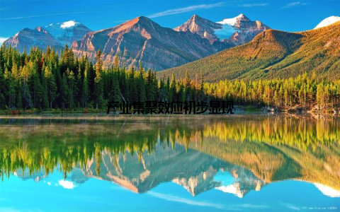 产业集聚效应初步显现