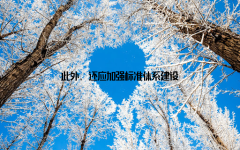 此外, 还应加强标准体系建设