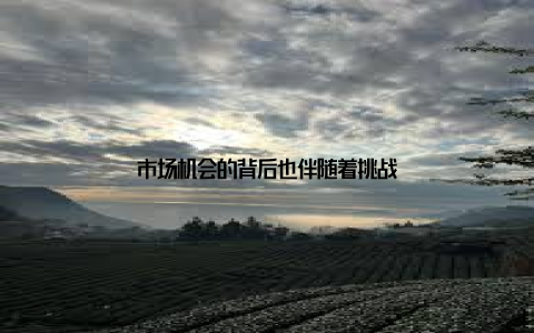 市场机会的背后也伴随着挑战