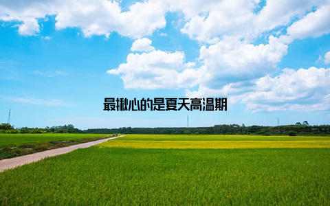 最揪心的是夏天高温期