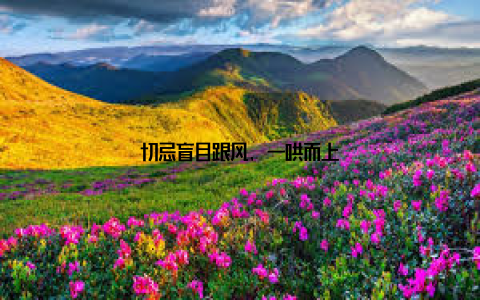 切忌盲目跟风, 一哄而上