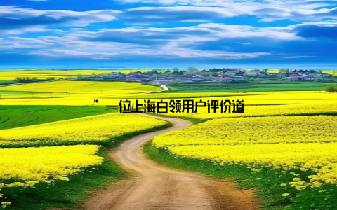 ”一位上海白领用户评价道