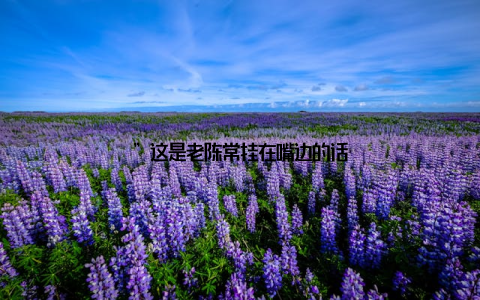 ”这是老陈常挂在嘴边的话