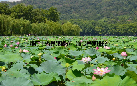 推广生态养殖模式, 减少养殖排放