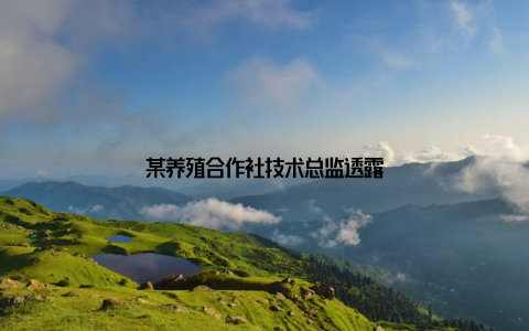 某养殖合作社技术总监透露