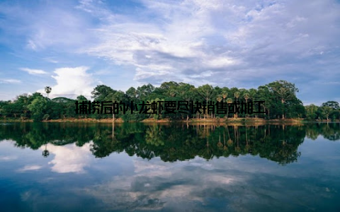 捕捞后的小龙虾要尽快销售或加工