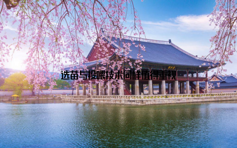 选苗与投喂技术同样值得重视