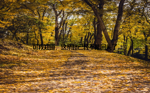 可我知道, 这条路已经不能回头了