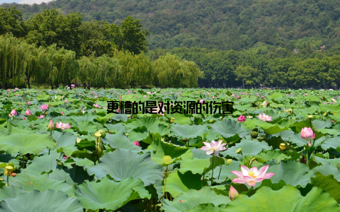 更糟的是对资源的伤害