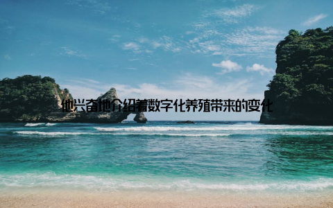 他兴奋地介绍着数字化养殖带来的变化