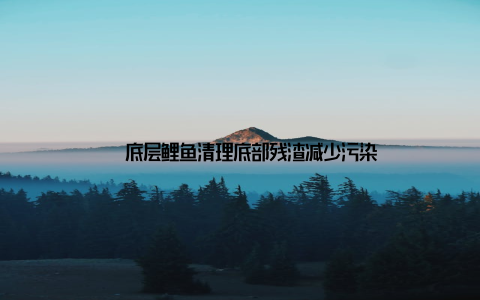 – 底层鲤鱼清理底部残渣减少污染