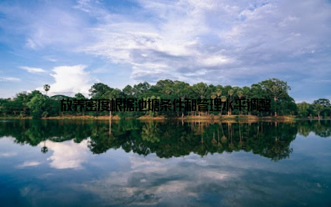 放养密度根据池塘条件和管理水平调整