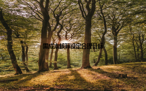 需成本核算设定合理目标