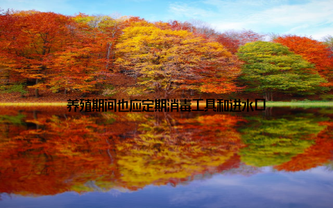 养殖期间也应定期消毒工具和进水口