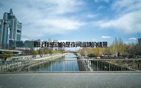 最让我感动的是夜间巡塘的情景