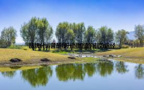 品牌化运营是提升附加值的有效途径