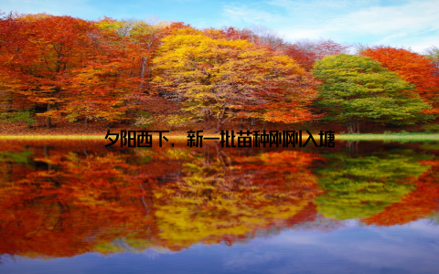 夕阳西下, 新一批苗种刚刚入塘