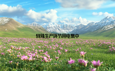 特殊生产环节用电集中