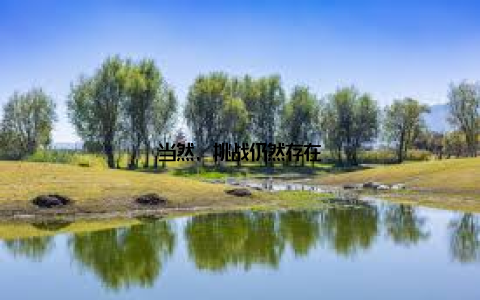 当然, 挑战仍然存在