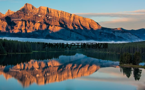 ”泸州养殖大户王建军回忆道