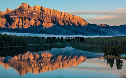 ”负责人刘强分享道