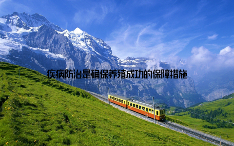 疾病防治是确保养殖成功的保障措施