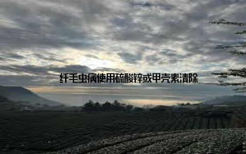 – 纤毛虫病使用硫酸锌或甲壳素清除