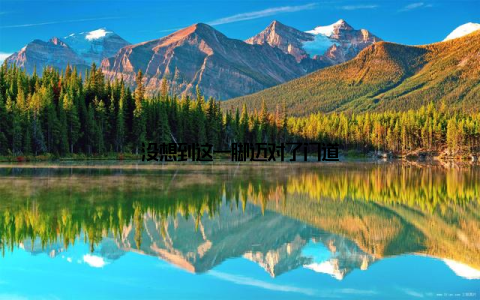 没想到这一脚迈对了门道