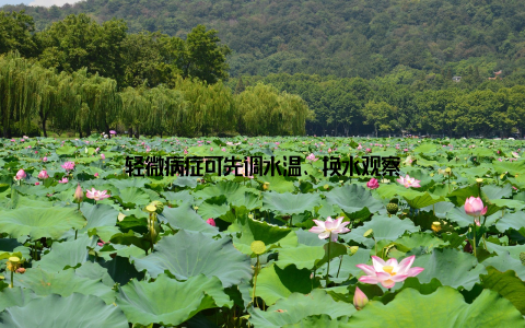 轻微病症可先调水温、换水观察