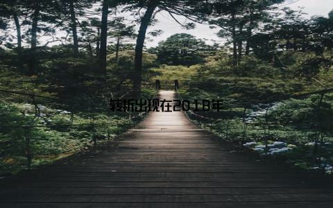 转折出现在2018年