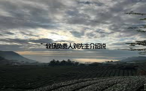 ”牧场负责人刘先生介绍说