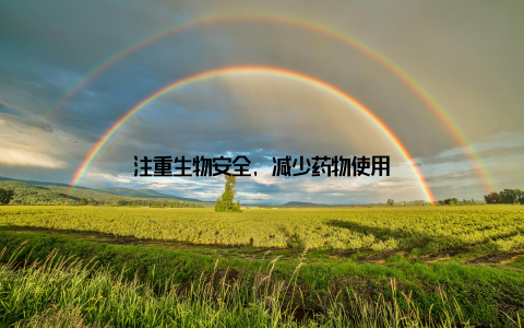 注重生物安全, 减少药物使用