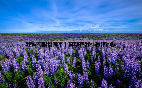 我连衣服都顾不上穿整齐就往养殖池跑