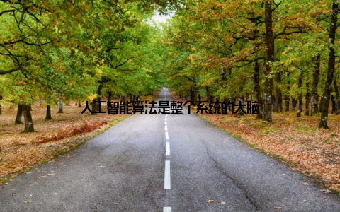 人工智能算法是整个系统的大脑