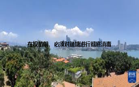 在投苗前, 必须对鱼塘进行彻底消毒