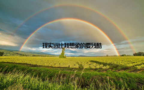 现实远比我想象的要残酷