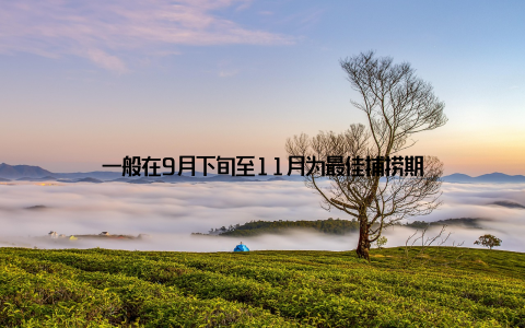 一般在9月下旬至11月为最佳捕捞期