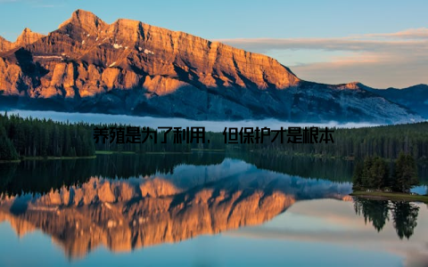 养殖是为了利用, 但保护才是根本