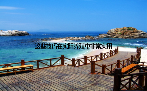 这些技巧在实际养殖中非常实用