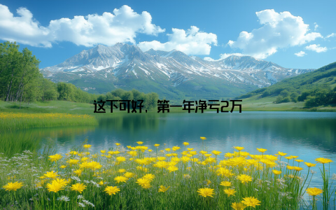 这下可好, 第一年净亏2万