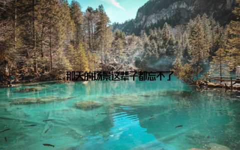 那天的场景这辈子都忘不了