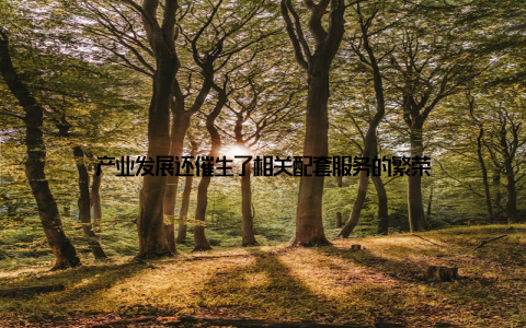 产业发展还催生了相关配套服务的繁荣