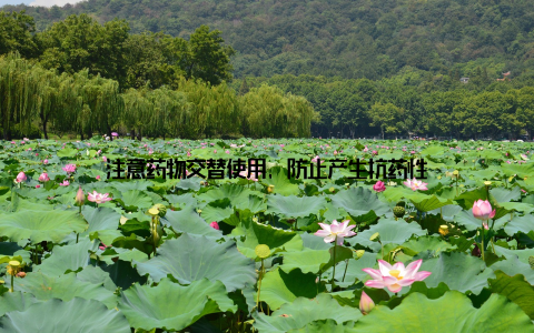 注意药物交替使用, 防止产生抗药性