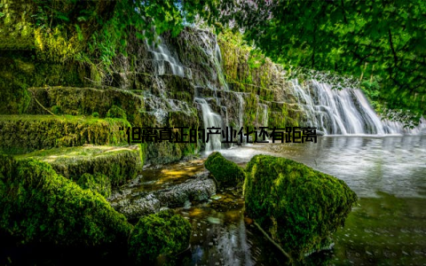 “但离真正的产业化还有距离