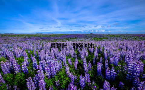 算算账, 勉强回本