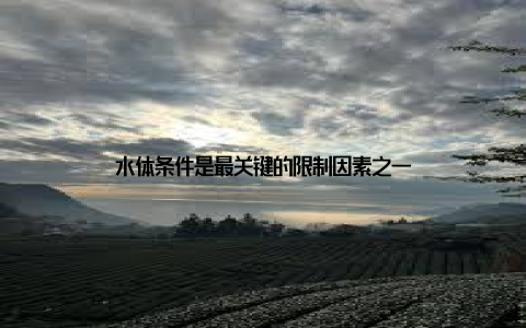 水体条件是最关键的限制因素之一