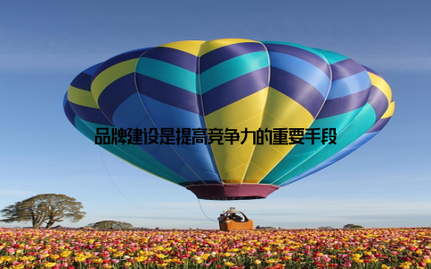 品牌建设是提高竞争力的重要手段