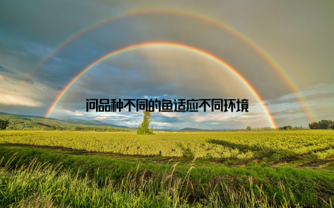 问品种不同的鱼适应不同环境