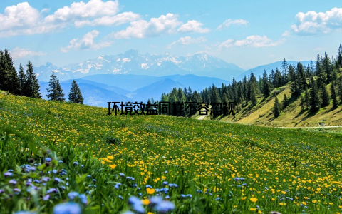 环境效益同样不容忽视