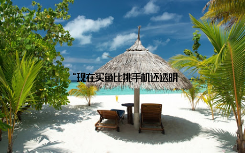 “现在买鱼比挑手机还透明